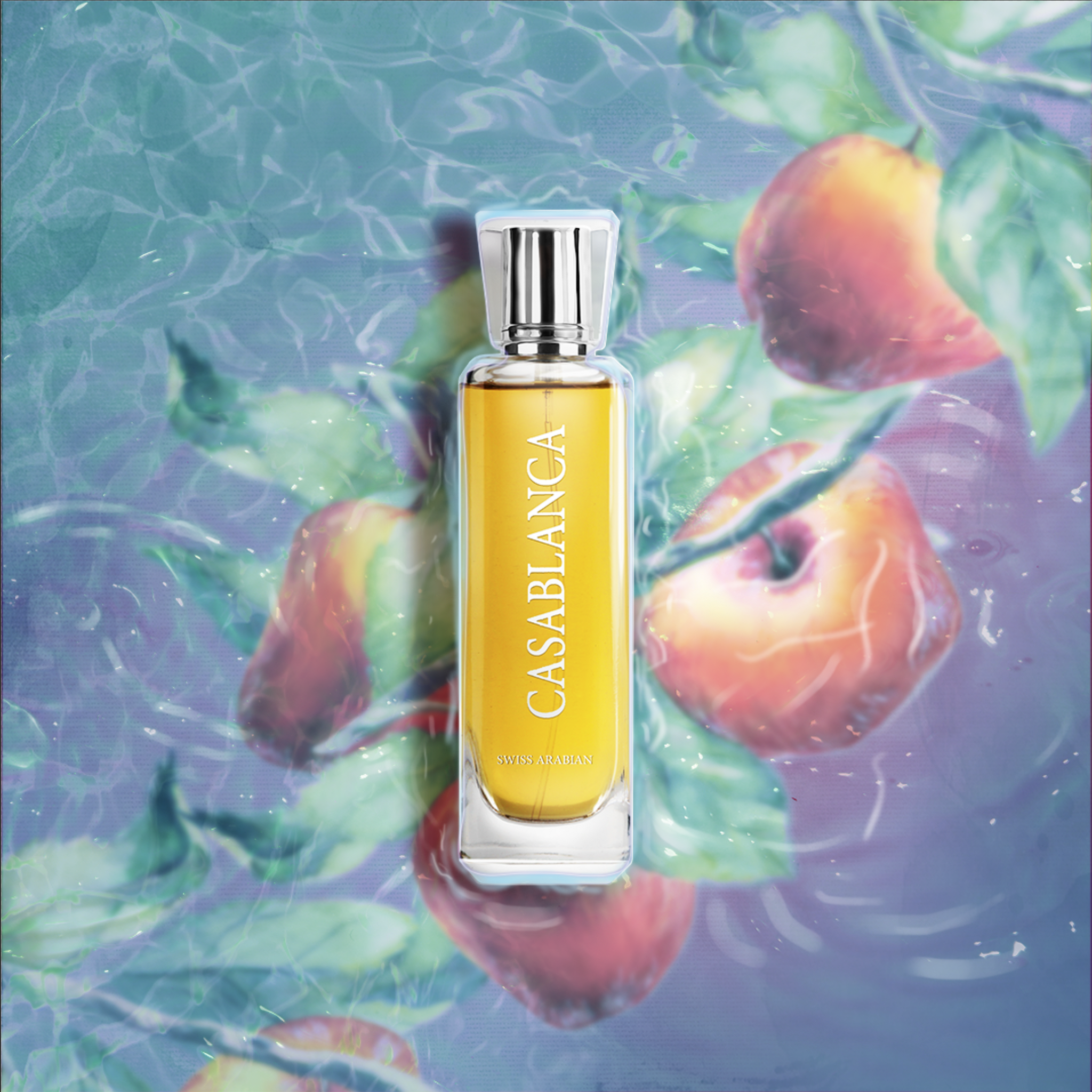 Casablanca EDP — visuel officiel 2