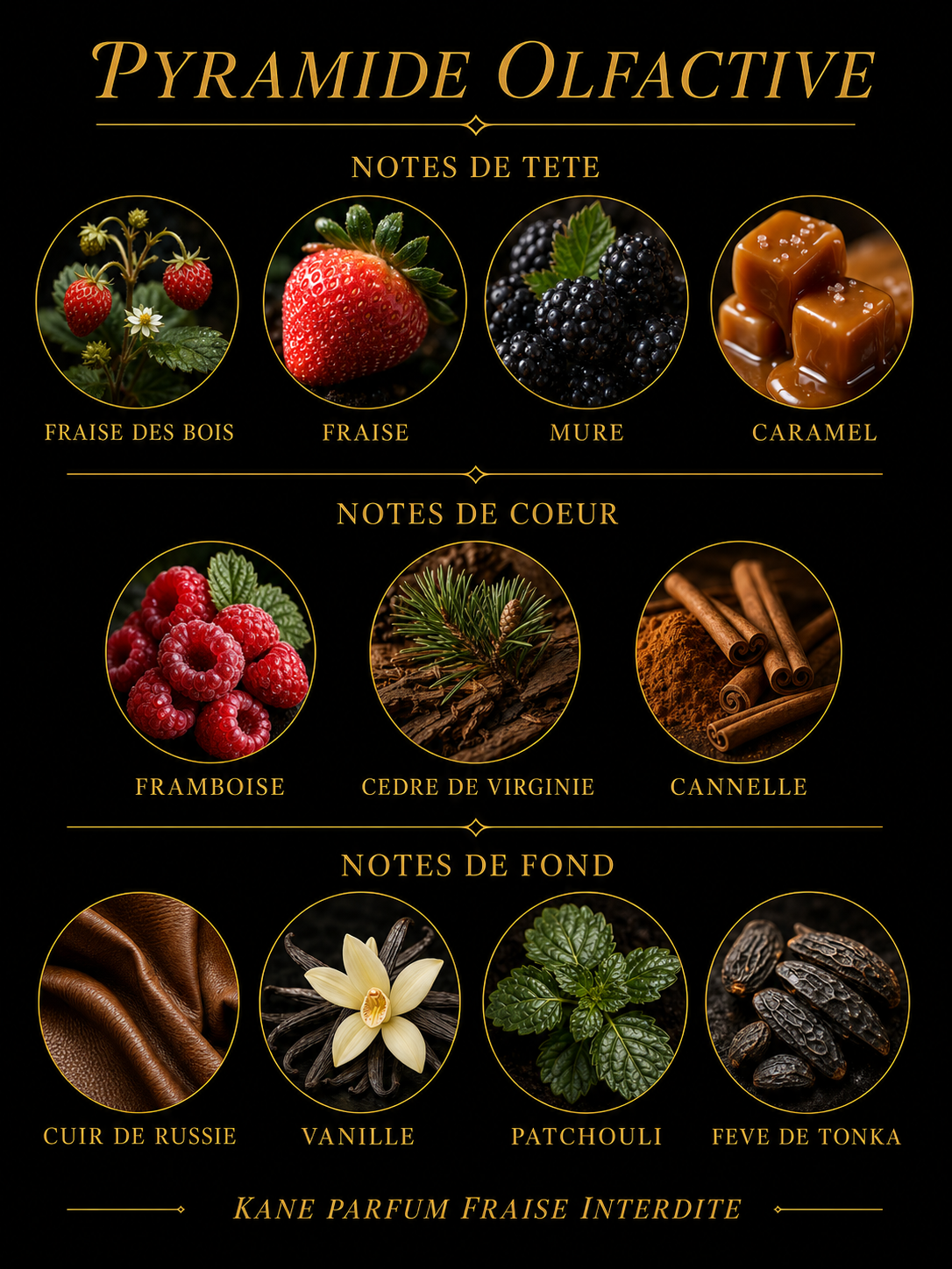Pyramide olfactive Kane Parfum Fraise Interdite