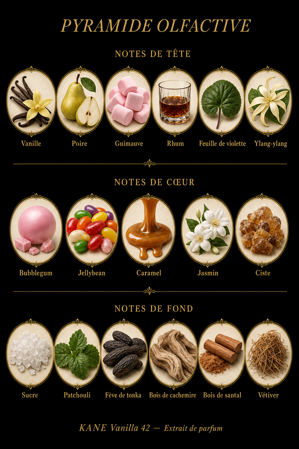 Pyramide olfactive Kane Vanilla 42 — notes de tête cœur fond