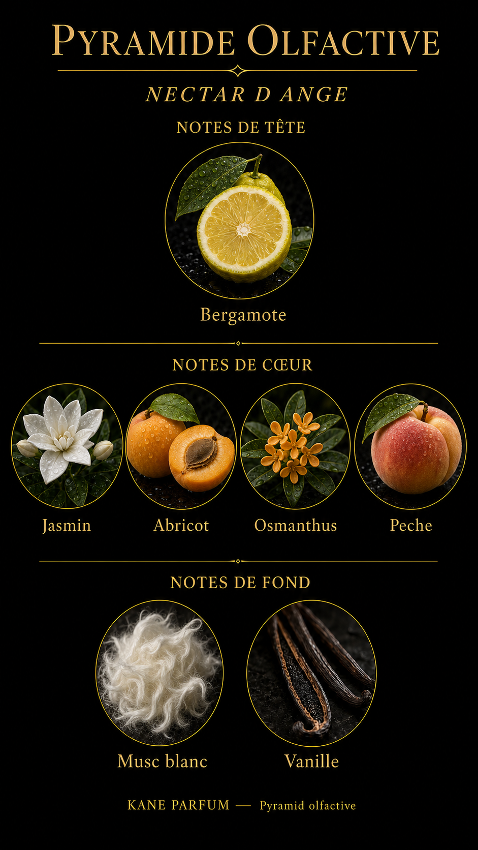 Kane Parfum Nectar d'Ange — Pyramide olfactive