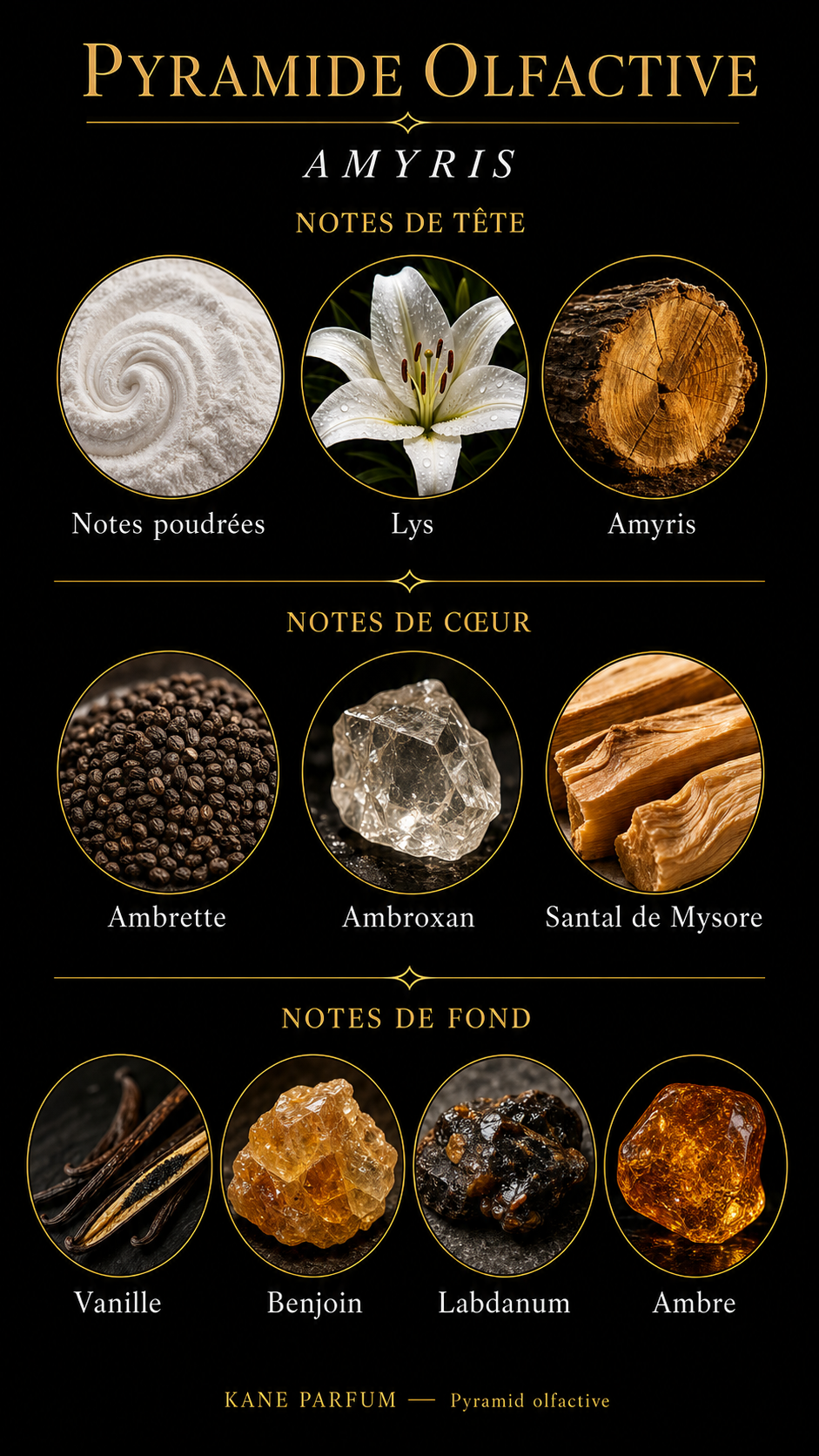 Pyramide olfactive Amyris — Kane Parfum