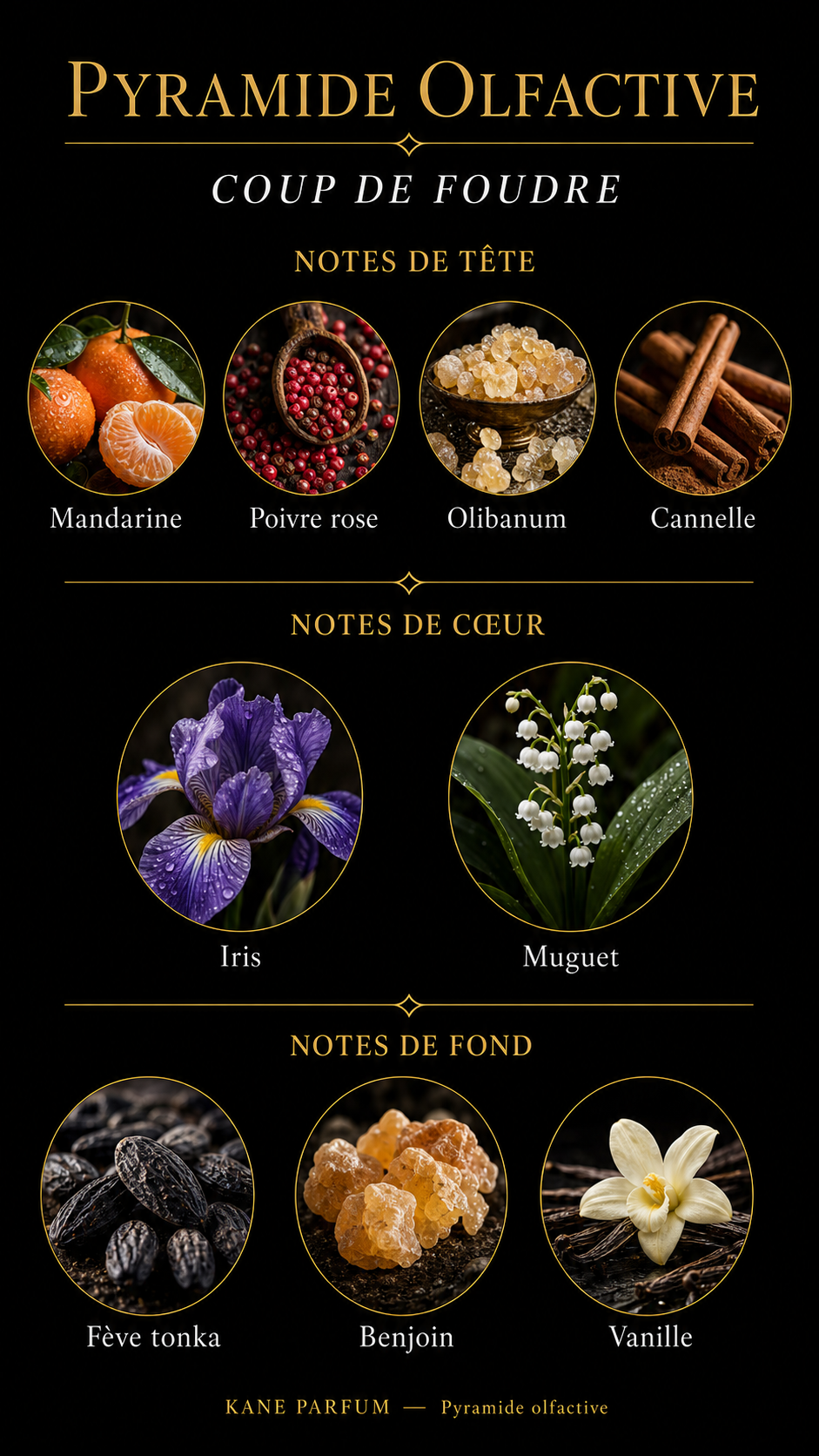 Pyramide olfactive Coup de Foudre — Kane Parfum