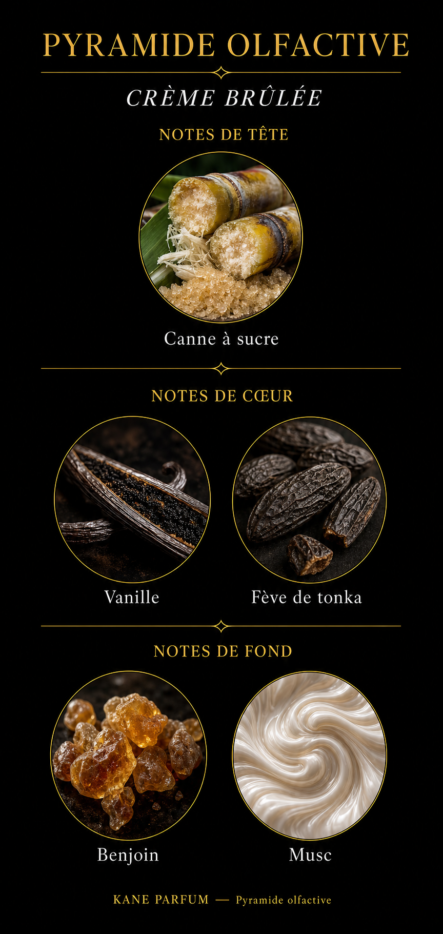 Pyramide olfactive Crème Brûlée — Kane Parfum