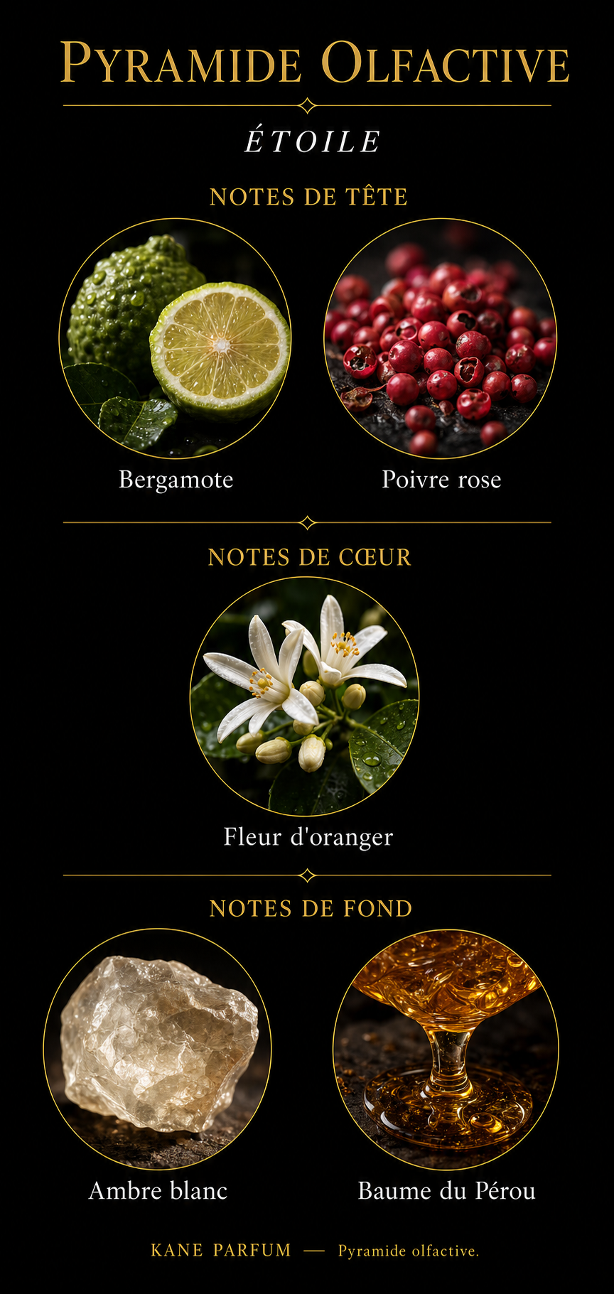 Pyramide olfactive Étoile — Kane Parfum