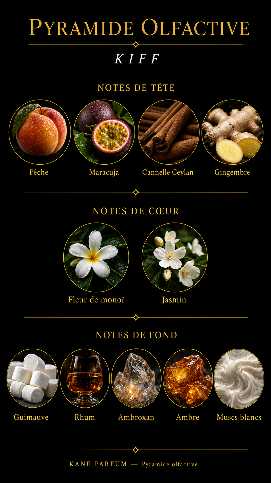Pyramide olfactive Kiff — Kane Parfum