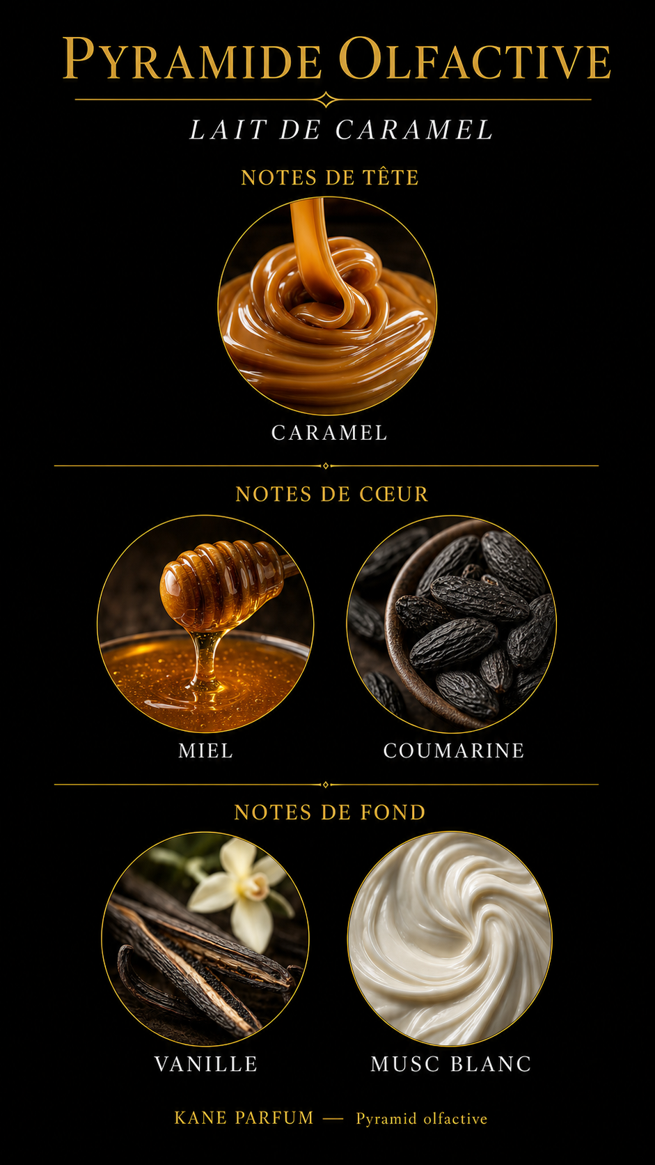 Pyramide olfactive Lait de Caramel - Kane Parfum