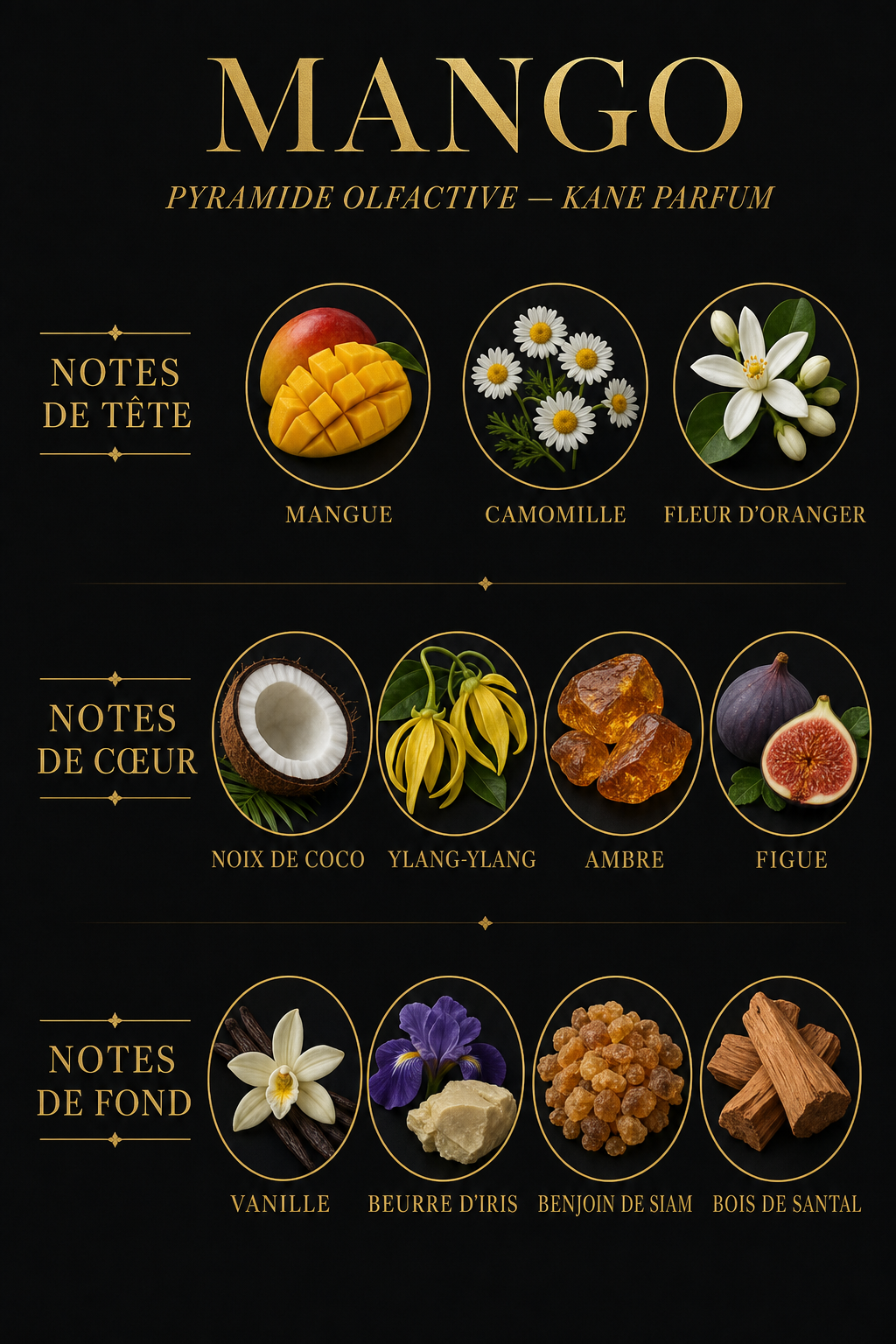 Pyramide olfactive Mango — Kane Parfum