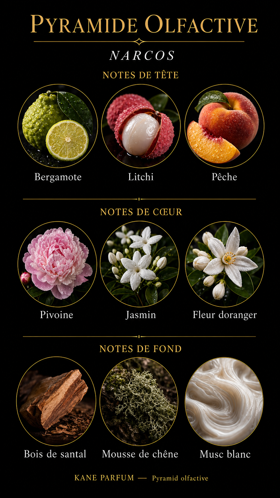 Pyramide olfactive Narcos — Kane Parfum