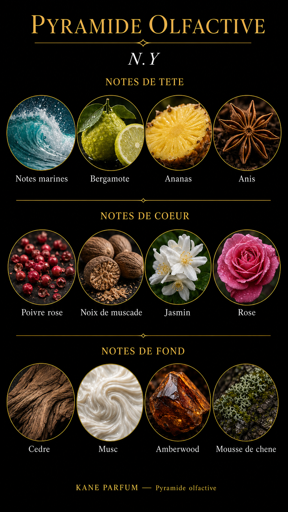 Pyramide olfactive N.Y — Kane Parfum