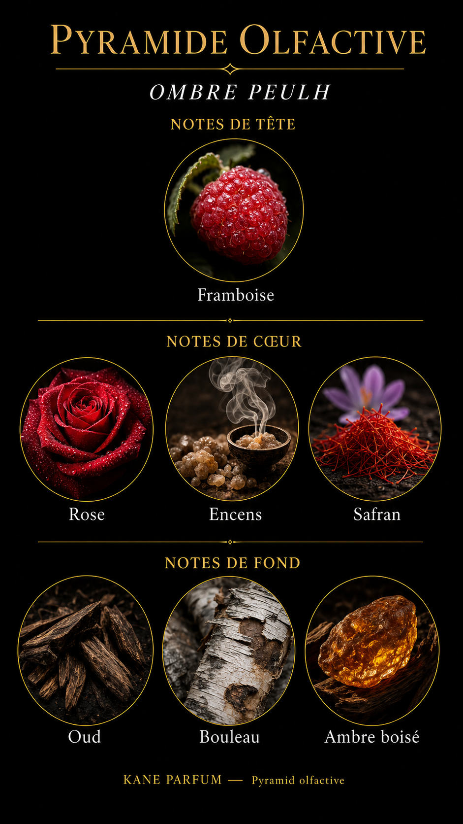 Pyramide olfactive Ombre Peulh — Kane Parfum