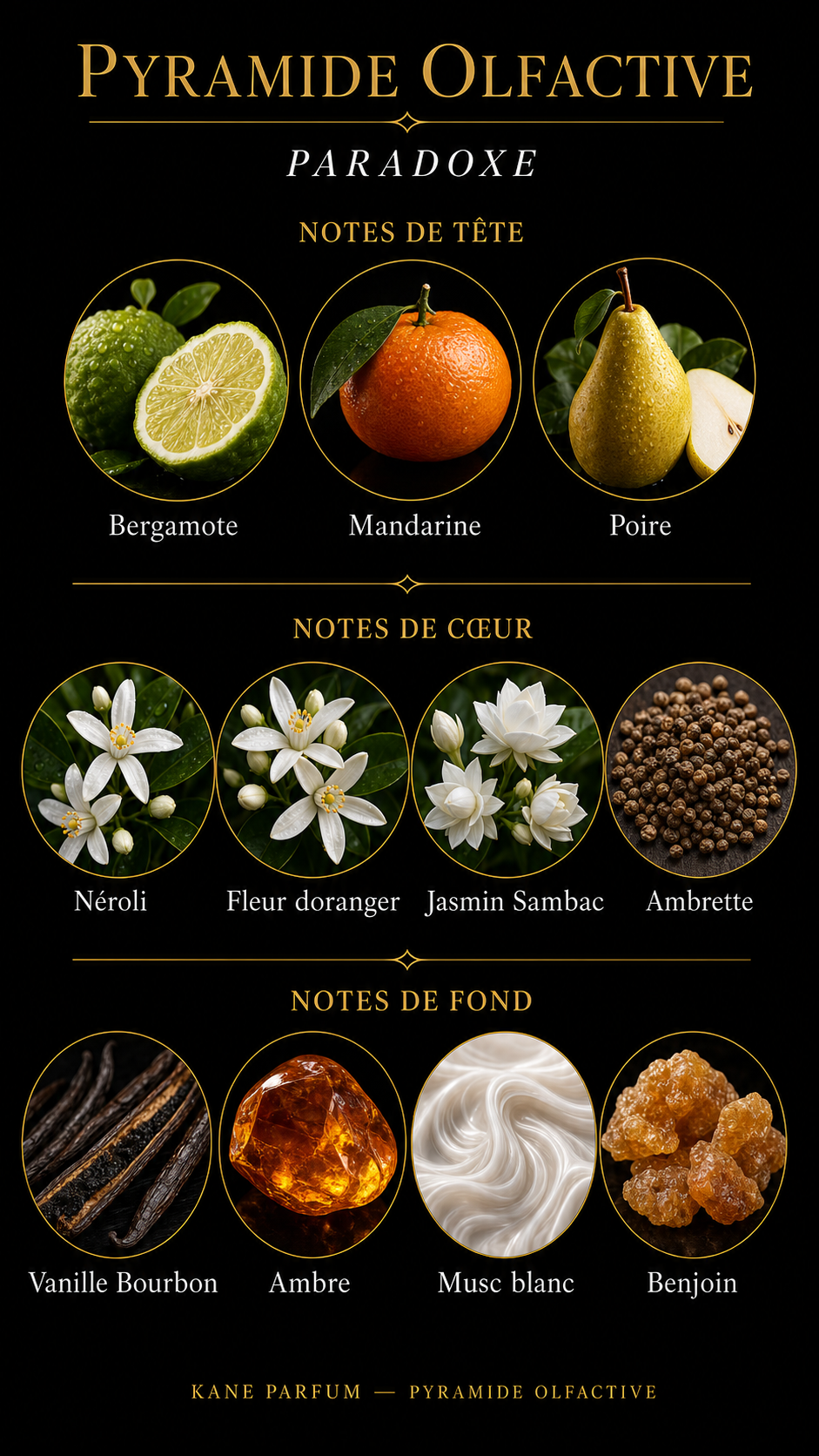 Pyramide olfactive Paradoxe — Kane Parfum