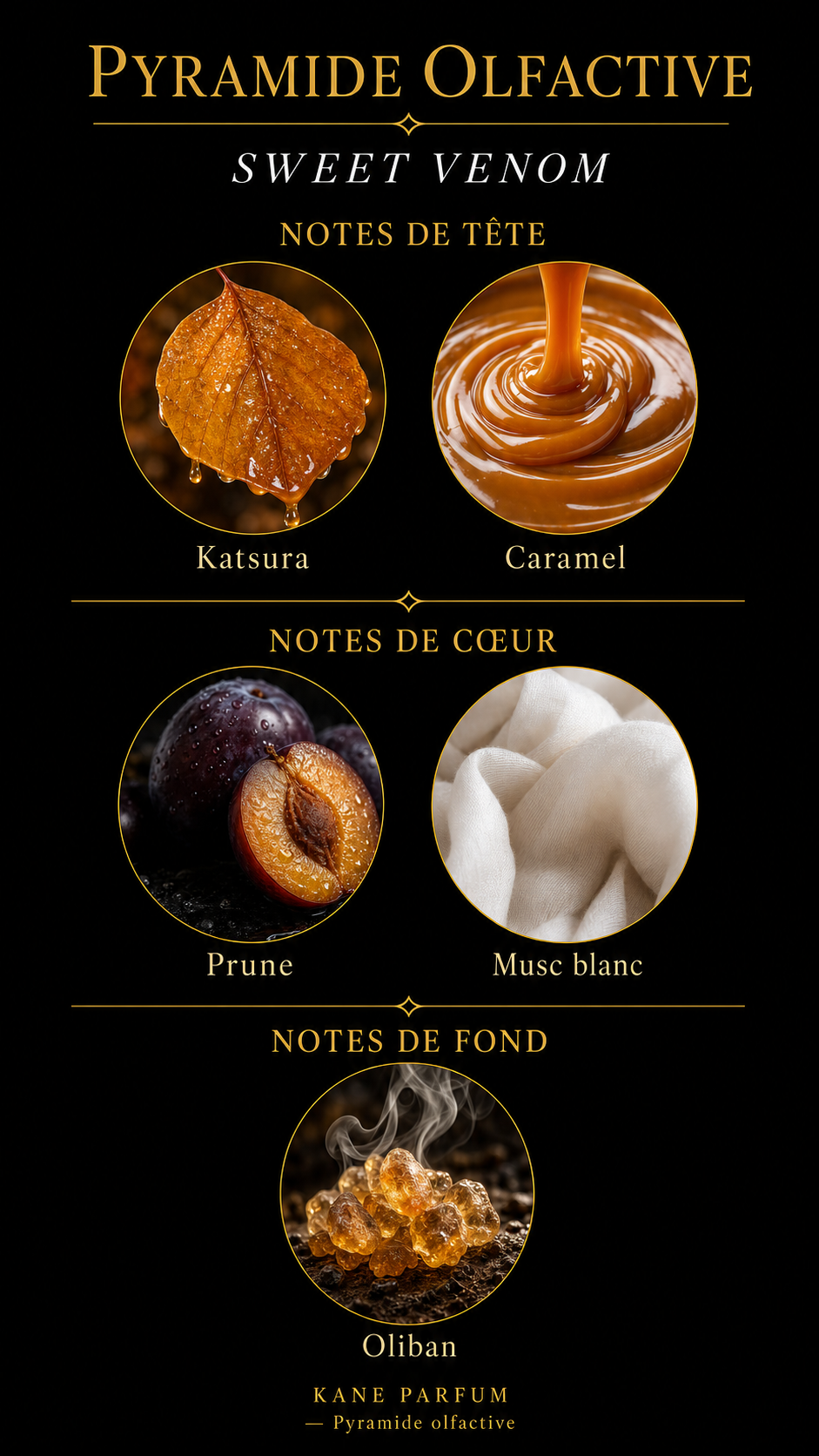 Pyramide olfactive Sweet Venom — Kane Parfum