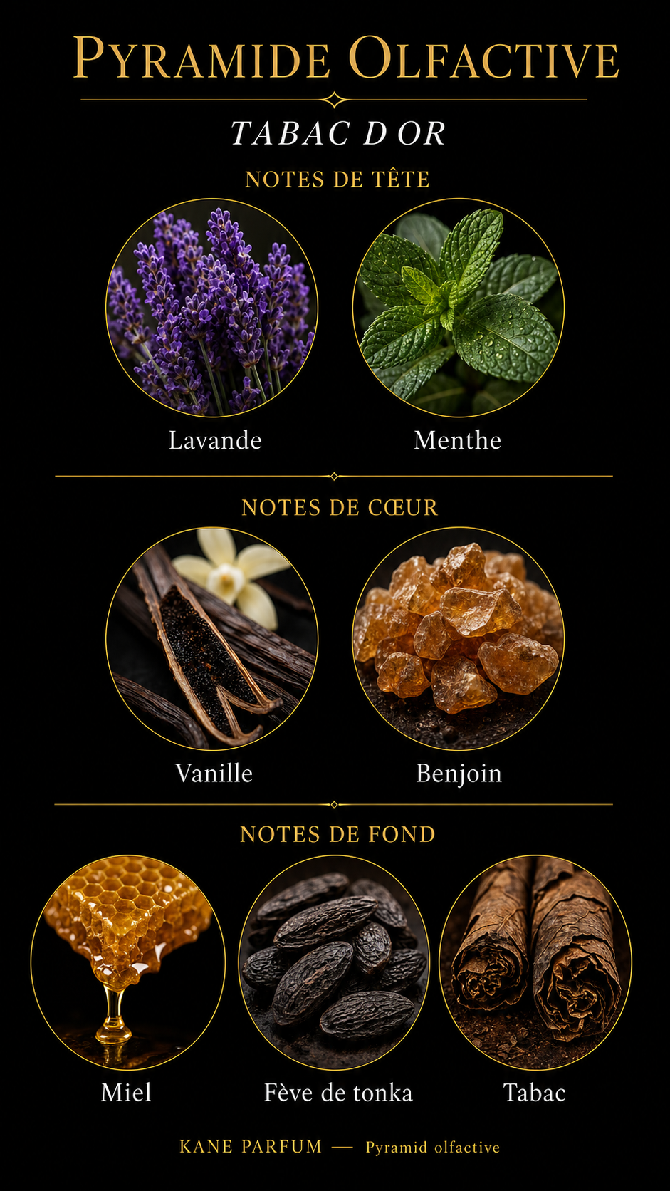 Pyramide olfactive Tabac d'Or — Kane Parfum