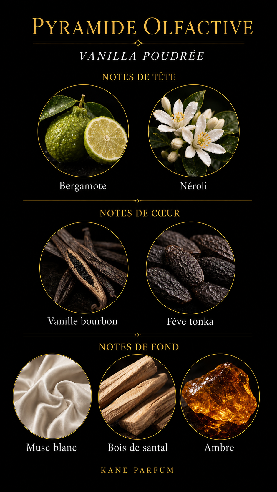 Pyramide olfactive Vanilla Poudrée — Kane Parfum