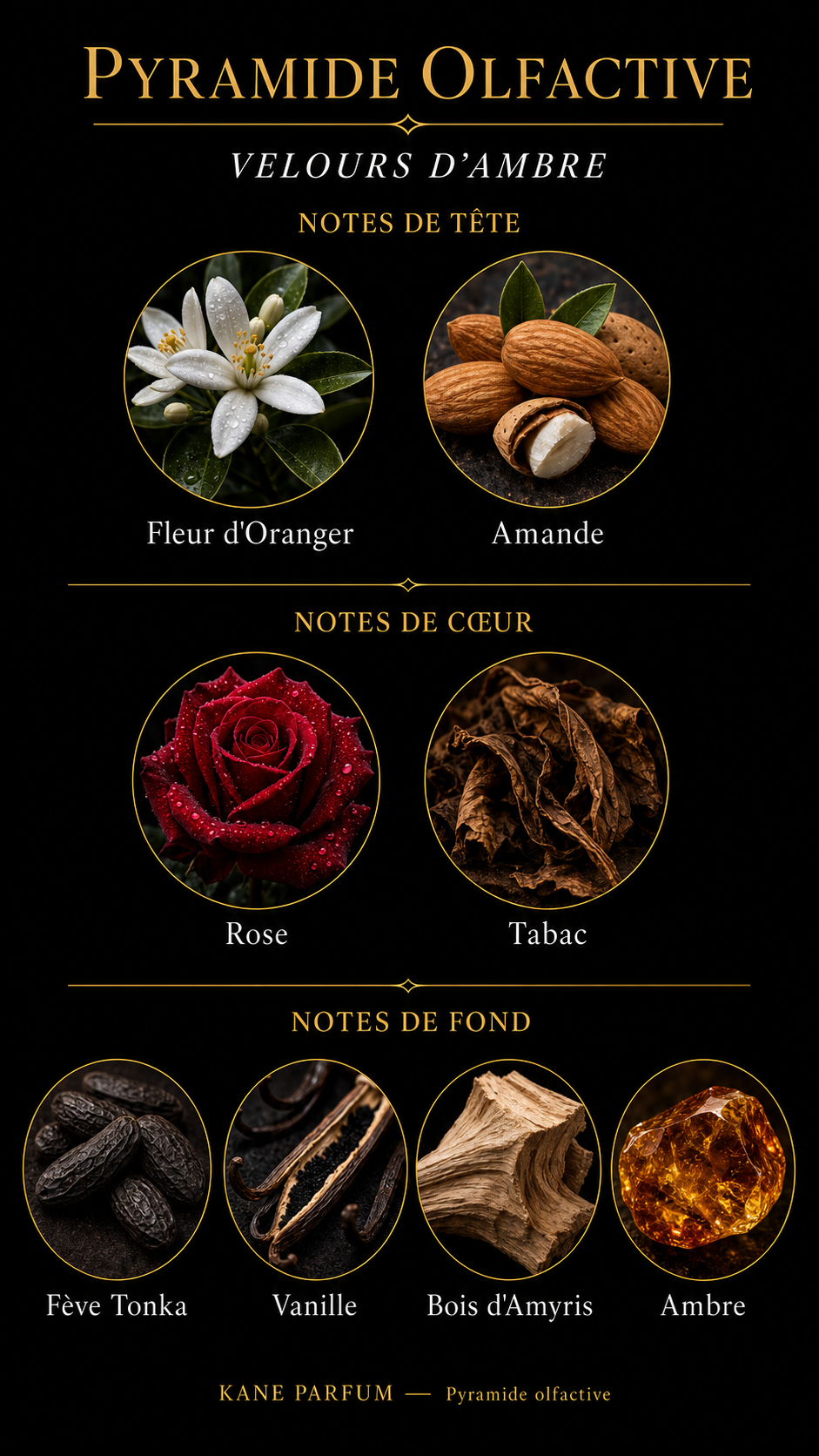 Pyramide olfactive Velours d'Ambre — Kane Parfum