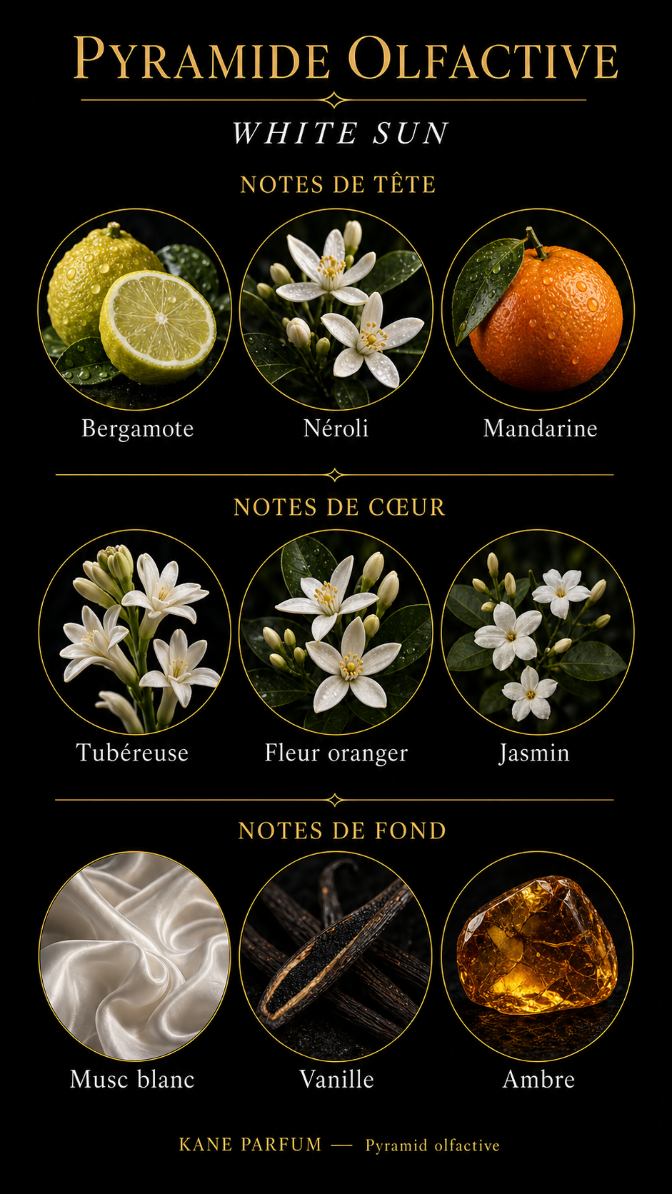 Pyramide olfactive White Sun — Kane Parfum