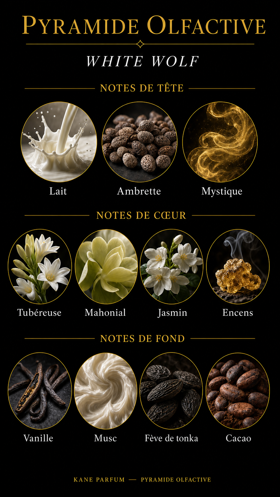 Pyramide olfactive White wolf — Kane Parfum