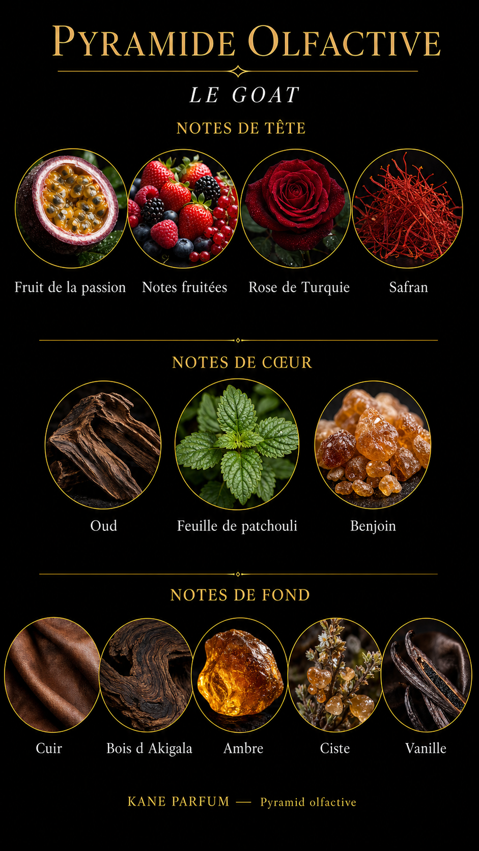 Pyramide olfactive Le Goat — notes tête cœur fond
