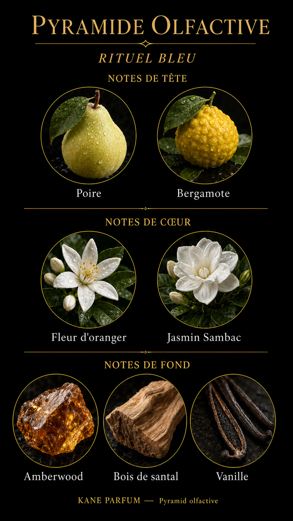 Pyramide olfactive Rituel Bleu — poire, bergamote, fleur d'oranger, jasmin sambac, amberwood, bois de santal, vanille